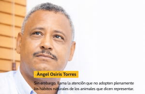 Se armó el lío: A propósito de los llamados Therians, me pregunto ¿el loco soy yo? Maestro Ángel Osiris Torres