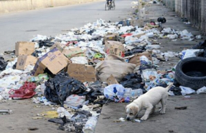 La acumulación de basura expone fallas estructurales en la gestión municipal de Santo Domingo Oeste. Preocupa descuido de la ciudad