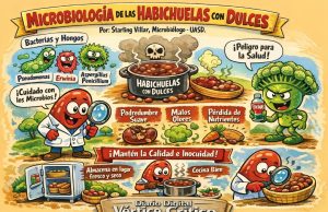 Microbiología de las habichuelas con dulces.