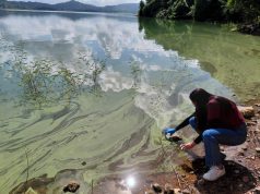 “Dra. Alfaniris Vargas y su equipo estudian la genética de cianobacterias y otorgan ‘ojos moleculares’ a los embalses dominicanos”. Licda. Patri Ramírez en muestreo realizado en la presa de Hatillo.