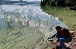 “Dra. Alfaniris Vargas y su equipo estudian la genética de cianobacterias y otorgan ‘ojos moleculares’ a los embalses dominicanos”. Licda. Patri Ramírez en muestreo realizado en la presa de Hatillo.