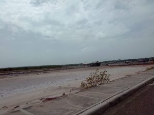 Dunas de Montecristi (Foto José Armando Toribio)