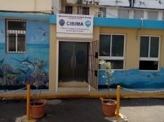 CIBIMA-IBC lanza “EcoMar”: un programa pionero para formar jóvenes en conservación marina y costera.
