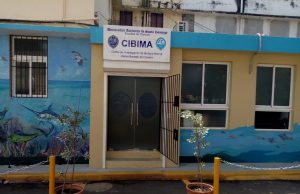 CIBIMA-IBC lanza “EcoMar”: un programa pionero para formar jóvenes en conservación marina y costera.