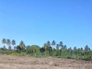 Denuncian destrucción de conucos en El Jobo de Tamayo para expandir cultivos de caña en medio de la crisis alimentaria.