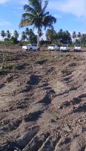 Denuncian destrucción de conucos 