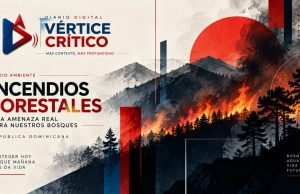 Más de 150 km² de bosques bajo impacto de incendios; Observatorio alerta sobre emergencia ambiental.