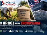 Presión sobre el arroz abre debate sobre producción nacional y seguridad alimentaria.