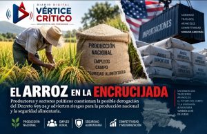 Presión sobre el arroz abre debate sobre producción nacional y seguridad alimentaria.
